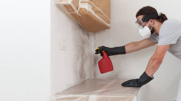 Professional Basement Mold Remediation technician working in Cherry Hill, NJ