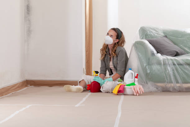 Reliable Basement Mold Remediation contractor in Cherry Hill, NJ by Car Mold Remediation
