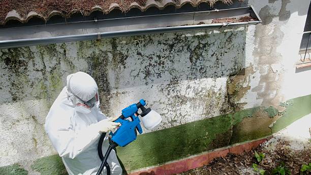 Top rated local Basement Mold Remediation specialists in Cherry Hill, NJ